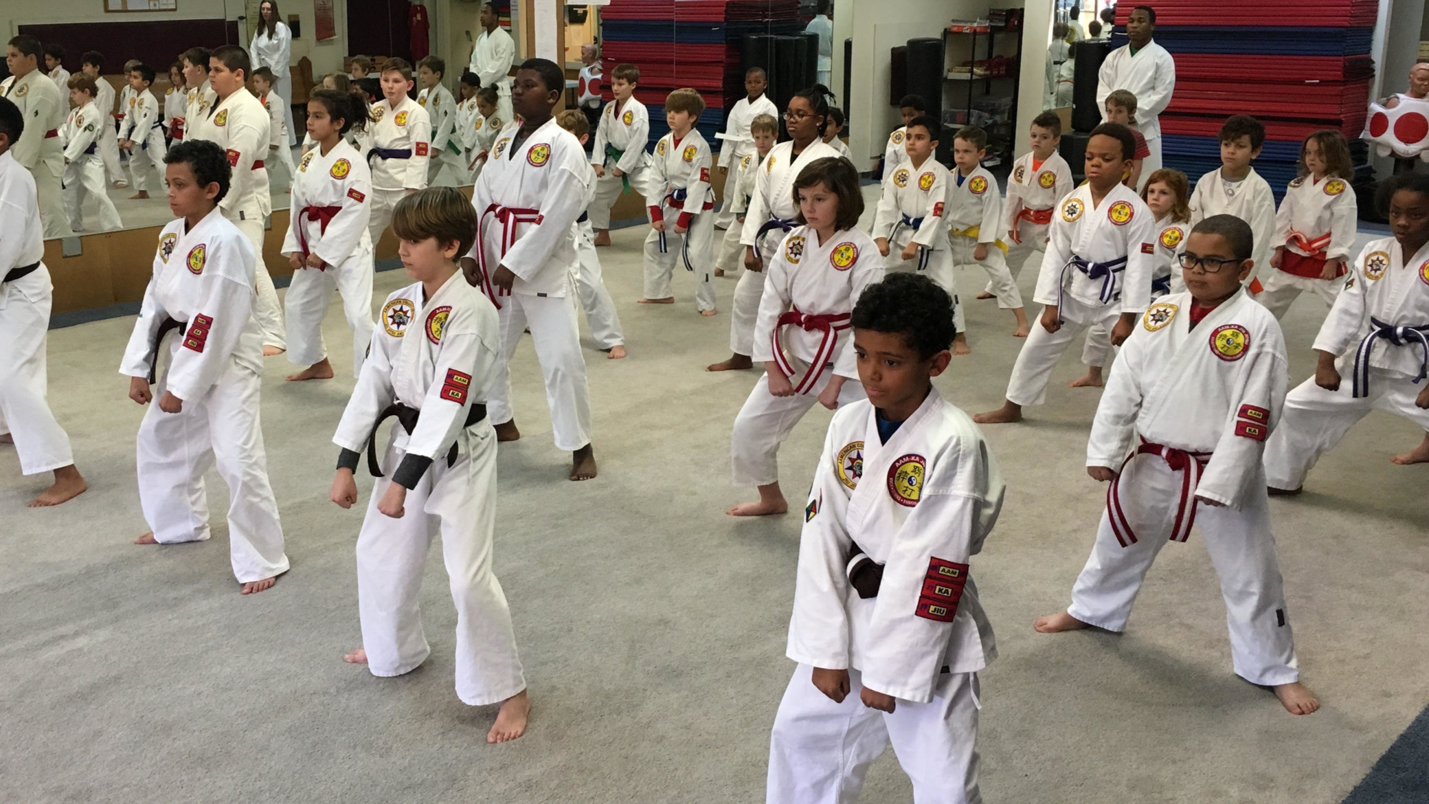 After-School & Summer Camp at Aamerican Colleges of Jiu-Jitsu and Karate